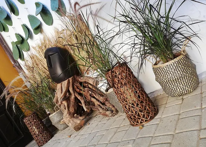 Rhodes Youth (adults Only) *