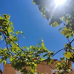 Rhodes Youth (adults Only) Hostel