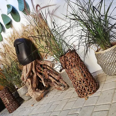 Rhodes Youth (adults Only) *