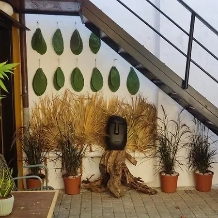 Rhodes Youth (adults Only) *