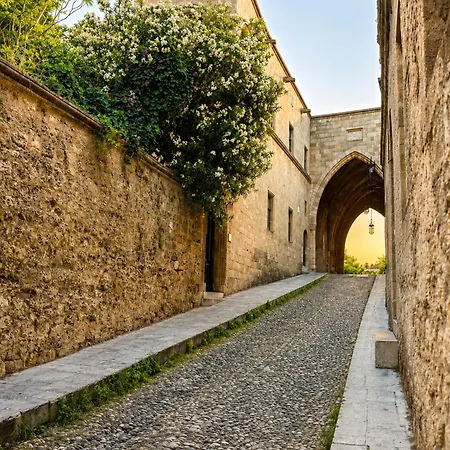 Rhodes Youth (adults Only)