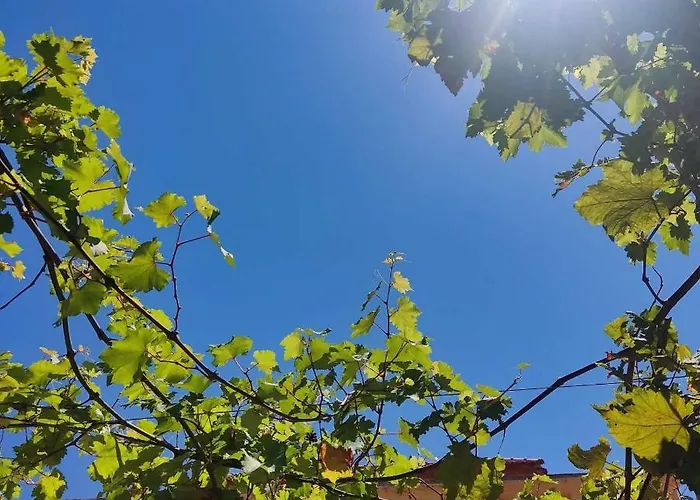 Rhodes Youth (adults Only) Hostel